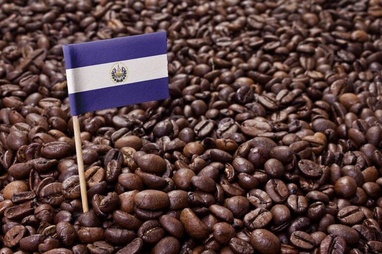 Types of El Salvador Coffee You Need to Know Before Buying